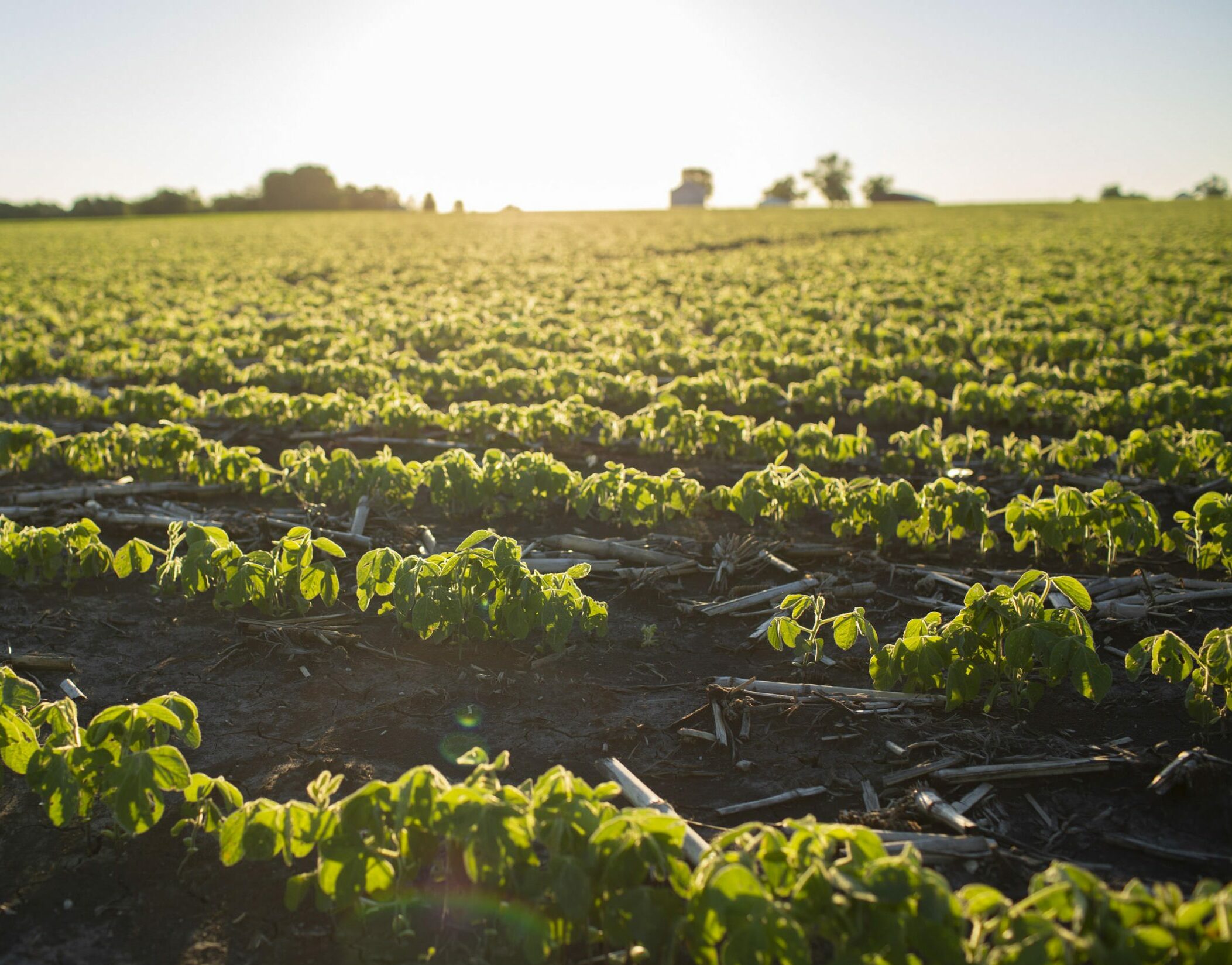 Farmers Precision Conservation Management Farmers Precision Conservation Management