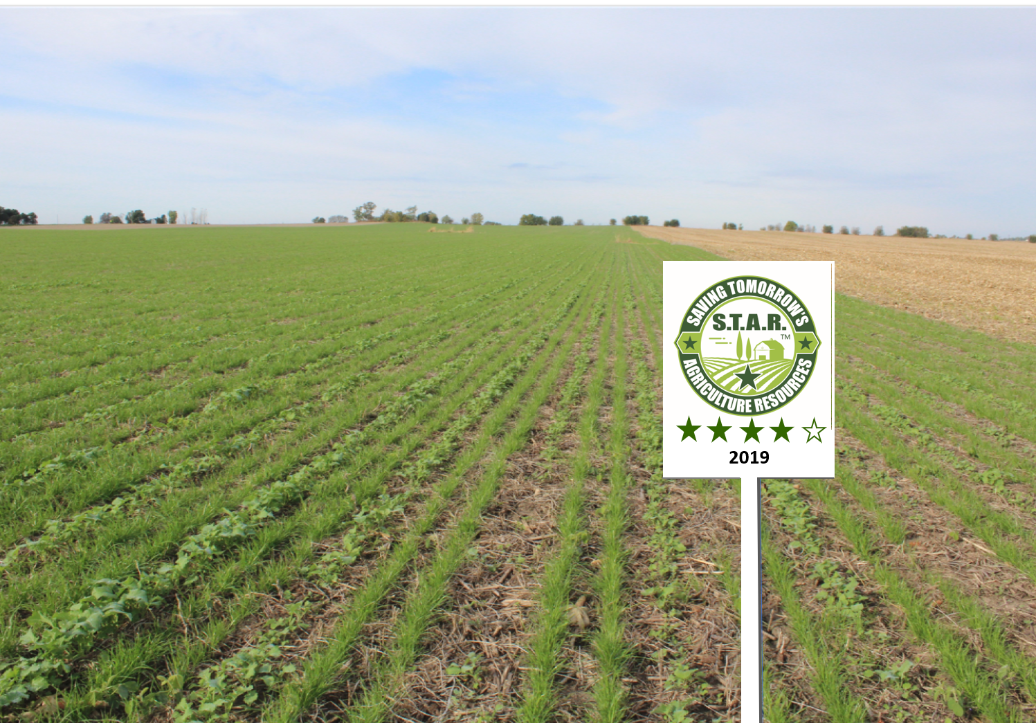 cropped-S.T.A.R.-2019-Field-Sign-10.png