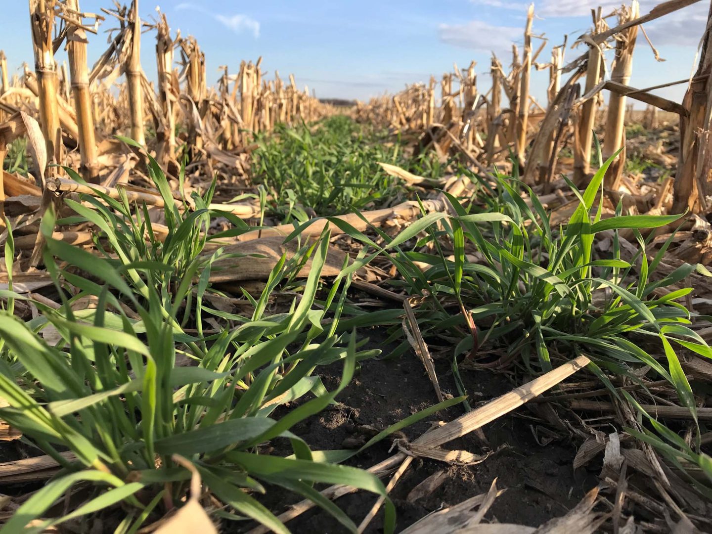 Precision Ag Conservation Rcpp Missouri Another $5M Available for PCM Farmers - Precision Conservation Management