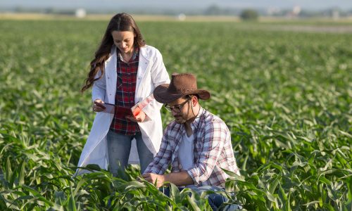 cropped-shutterstock_1432936505-Farmer-and-Agronomist-Lab-Coat-4.jpg