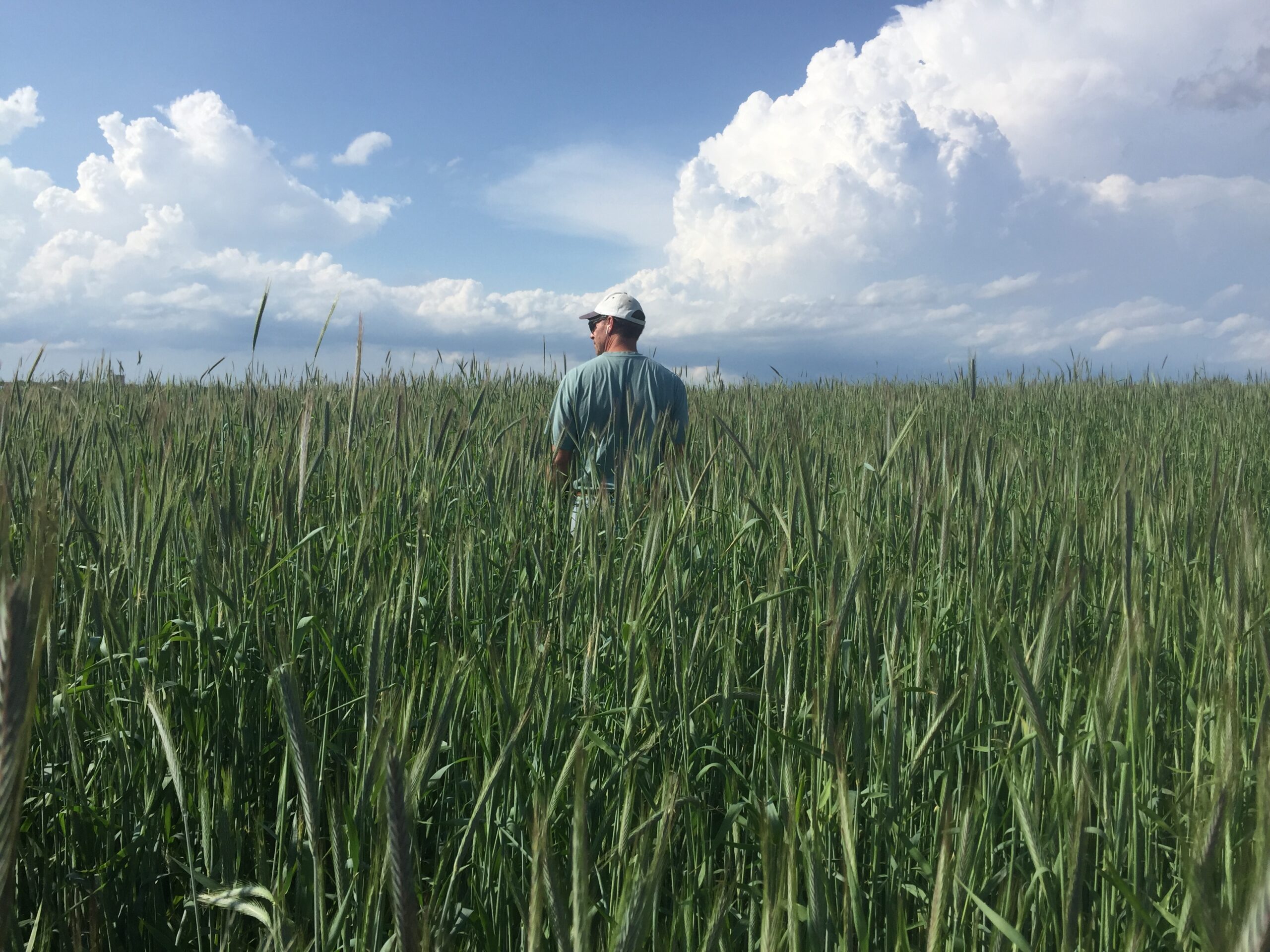 Precision Ag Conservation Rcpp Missouri 5 Reasons to Enroll in PCM This Spring - Precision Conservation Management
